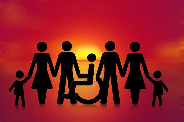 rodiny s invalidou